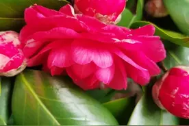 妻子得了乳腺癌，我们就过着走一走停一停，晒晒太阳看看景的生活图片