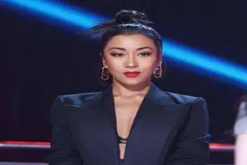 《中国好声音》10年歌手境况不一：有人锒铛入狱，有人官司缠身图片