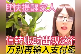 用微信转账时显示这行字，千万记得别再输入支付密码，涨知识了图片