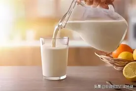 骆驼奶该怎么喝？有些“坑”别踩了~图片