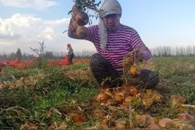 湖南农民手脚长树开花！爆炸后气味难闻，村民传言是遭树神诅咒？图片