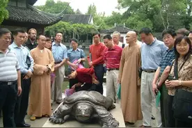 全球仅存3只的“神兽”，我国就有一只，无法有效繁殖或面临灭绝图片