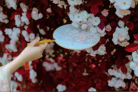 飞花令——花图片