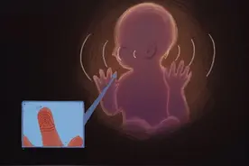 24小时亲历怀胎十月的全过程！图片