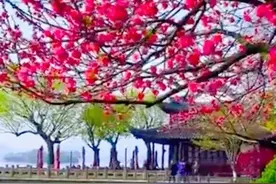 夜读经典：心之实相本清净（外一首）图片