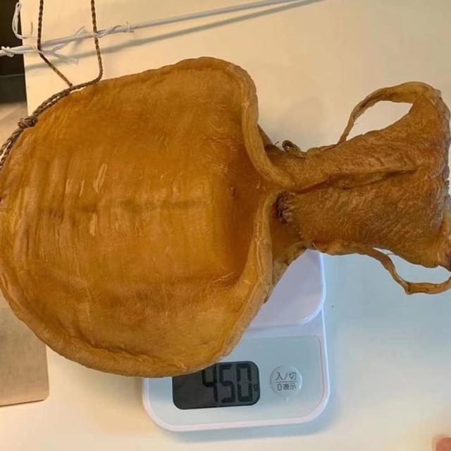 花胶鸡的花胶 2026年花胶鸡的花胶是什么东西