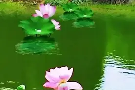 国家一年给一个村拨款多少钱？图片