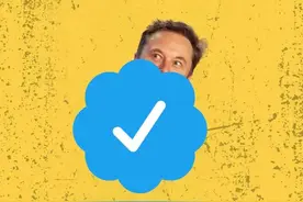 8美元推特认证小兰勾上线，结果各种假冒名人上线整活，全乱了图片