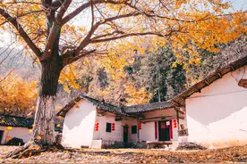 除了几个老人，所有人都在与手机谈恋爱，一分一秒都不想挪开视线图片