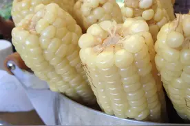 白糯玉米，黄玉米，水果玉米，紫玉米到底哪种好，减肥期怎么选？图片