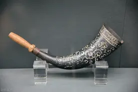 单词联想porn horn corn unicorn图片