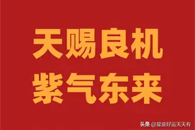 2023生肖鸡运势深度分析图片