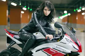 单词学习-diehard图片