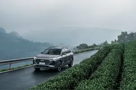 试驾上汽奥迪Q6：行走山水间的一抹风景图片