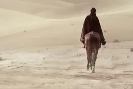 天若有情天亦老，人间正道是沧桑图片