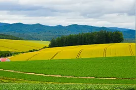 土地亩数怎么算？土地亩数如何测？图片