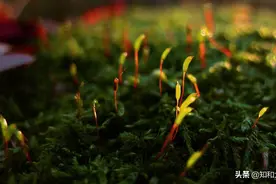 这样的相处，才是人与人之间最舒服的关系图片