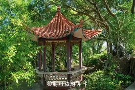 赏雨微旅游，厦门此处最经典→图片