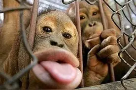 笑死人不偿命系列...我已笑趴图片