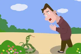 蛇会怕什么？这种东西只要沾上一点，蛇就会毙命，不敢钻进家里来图片