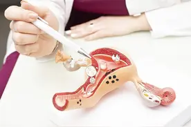 关于“小妹妹”的秘密，别说男人了，或许有些女人自己都不清楚图片