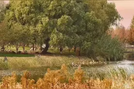 聊聊河南和安徽(二)图片
