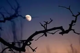 笑死我了！两首诗里面两句不相干的诗词，连起来读却别有意境图片