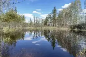 你好，勒拿河 ④ | 处处都是瓦尔登湖图片