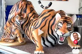 TikTok助力非物质文化遗产海外走红图片