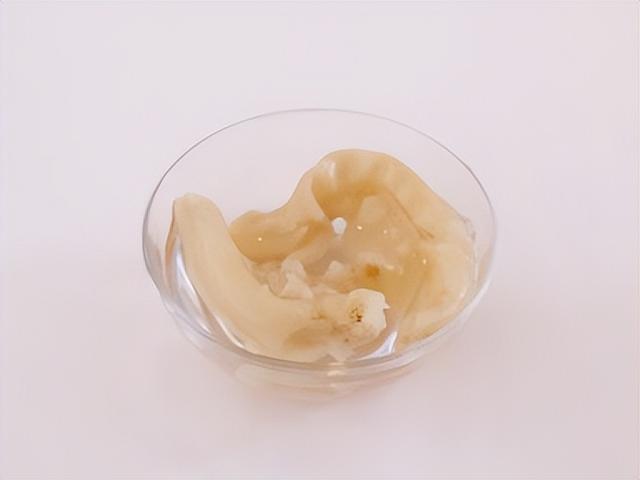 花胶响螺头海底椰 花胶响螺海底椰汤功效 花胶响螺头海底椰 花胶响螺海底椰汤功效