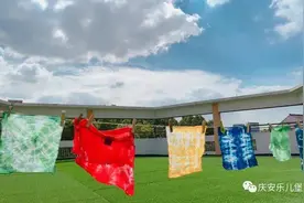 邂逅扎染 布里生花 | 庆安乐儿堡幼儿园大班课程故事图片