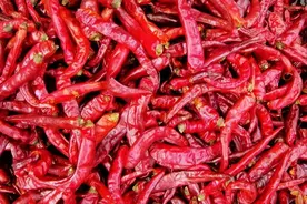 湖南女孩去江西男友家，计划玩10天，第3天就想回家了图片