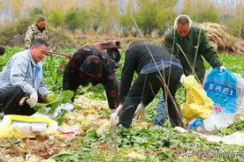 我的奋斗丨登封仗义哥亏本收购8旬老人40吨荠菜：“不能让老人失望，能帮一把就帮一把”图片