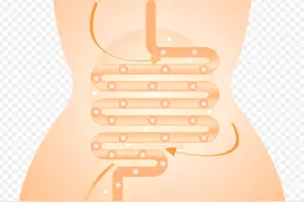 再厉害便秘，也怕这两味药，每天泡一杯，帮你轻松解决便秘问题图片