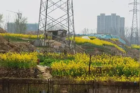 走近最真实的郑州“宇宙中心”（上）图片
