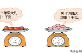 顺德数学之窗丨京师励耘实验学校涂朋坤《有多重》说课分享图片