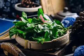 甘肃媳妇带回家1把菜，被婆婆扔进垃圾桶，邻居：扔到哪我去捡图片