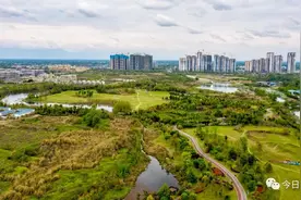 厚植特色优势 生动呈现宜居宜业的“羊马表达”图片