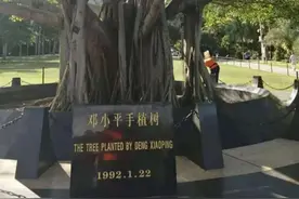 盘点新中国大事——1992年图片