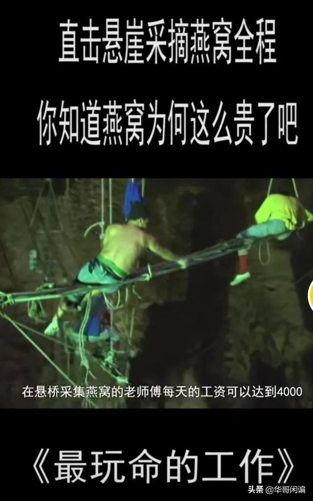女人经常吃燕窝的好处和坏处 2026年女人经常吃燕窝的好处和坏处是什么