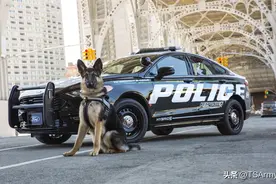 美国单个警员的12件装备，警车内的配置更丰富图片