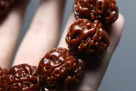 金刚菩提中的“四大金刚”，不要犹豫，见到了就入手吧！图片