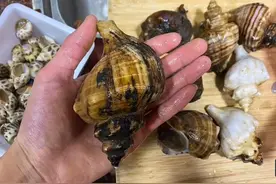 注意！广东潮州一家4口吃海鲜3人中毒住院，医药费花了2000多图片