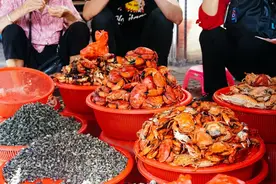早餐烤乳猪，海鲜论盆卖？这座海岛小城舒坦得有点离谱了图片