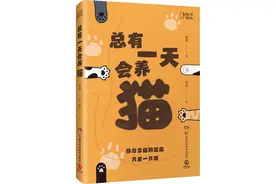 《总有一天会养猫》：猫咪的前世今生与爱恨缠绵图片