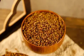 苦荞丨五谷之王的驯化与选择图片