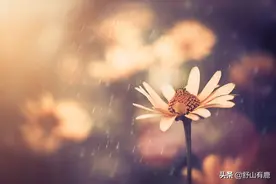 “人若受苦，必有好报”：前半生经受这3种苦，后半生会苦尽甘来图片