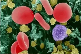 CD4计数低于500与死亡风险增加有关，你CD4上500了嘛图片