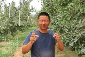 在农业这个行业中，胆子小一点，可以活得久一点图片