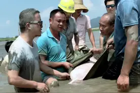 开播9.7分，一集封神的国产天花板，粉红色的回忆里竟满是血腥图片